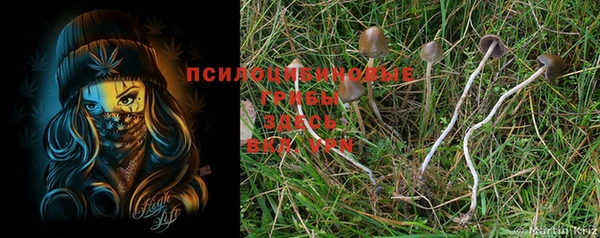 кокаин премиум Кущёвская