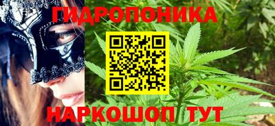 apvp Гусев