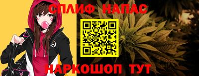 apvp Гусев