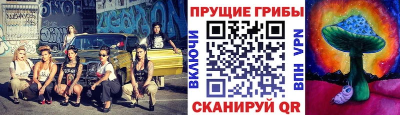 Галлюциногенные грибы мухоморы  kraken как зайти  Майкоп 